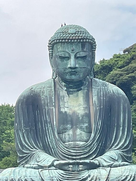 Photo of Kamakura Daibutsu, a large statue of the Buddha in 日本